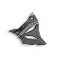 DBK Special Parts (Ducabike) Carbon Fiber Front Sprocket Cover for BMW S1000RR / M1000RR and S1000R / M1000R (2020+)